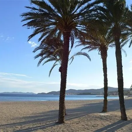 公寓 Au Lavandou Avec Terrasse Vue Et Parking Prive, Proche Et Commerces - Fr-1-803-41